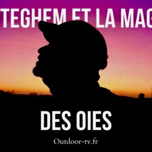 Téteghem et la magie des oies